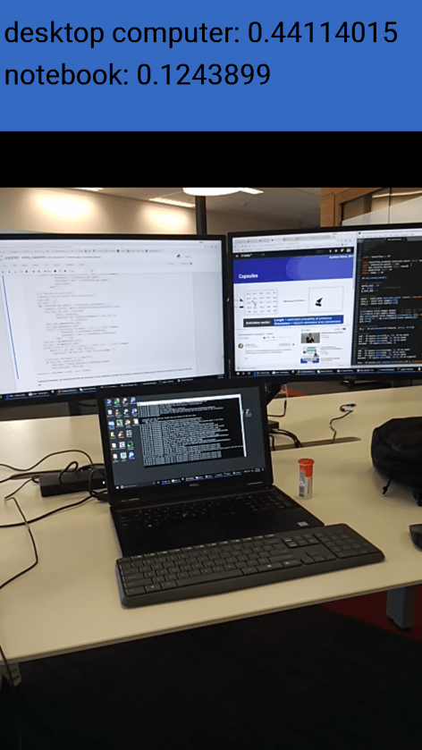 Screenshot_2018-03-06-09-44-57-946_org.tensorflow.demo